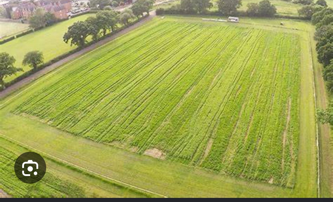 mets farms